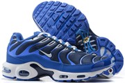 Nike Air Max TN 8909-253